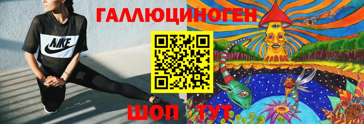 Псилоцибиновые грибы Psilocybe Стрежевой