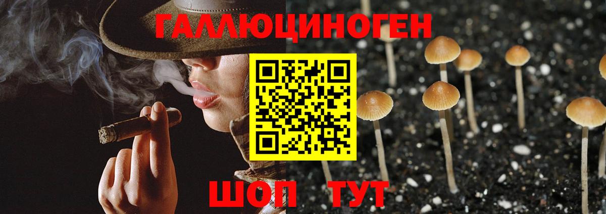 Галлюциногенные грибы Стрежевой